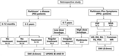 Modified Iron Deposition in Nigrosomes by Pharmacotherapy for the Management of Parkinson’s Disease